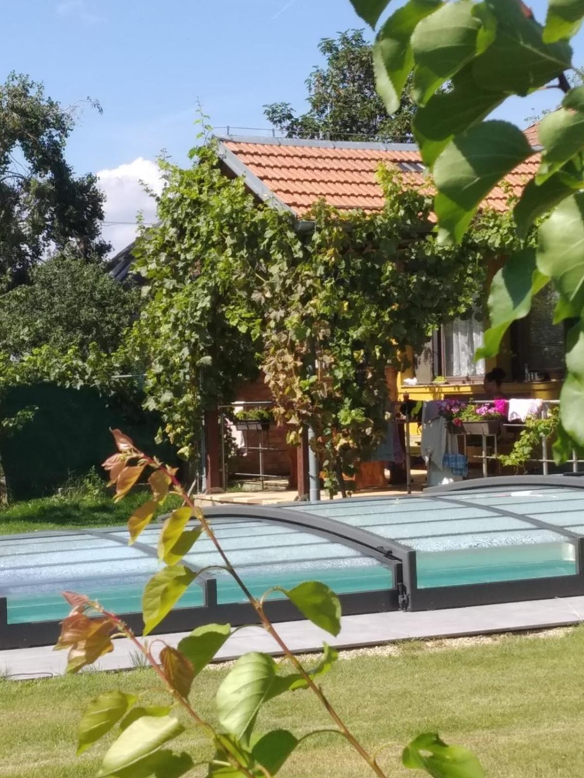 Chalupa V Merunkovem Sadu Šakvice Oda fotoğraf